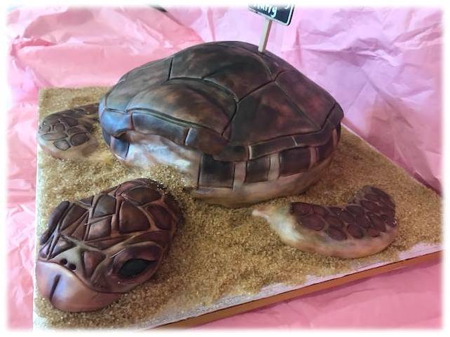 Turtle cake.jpg