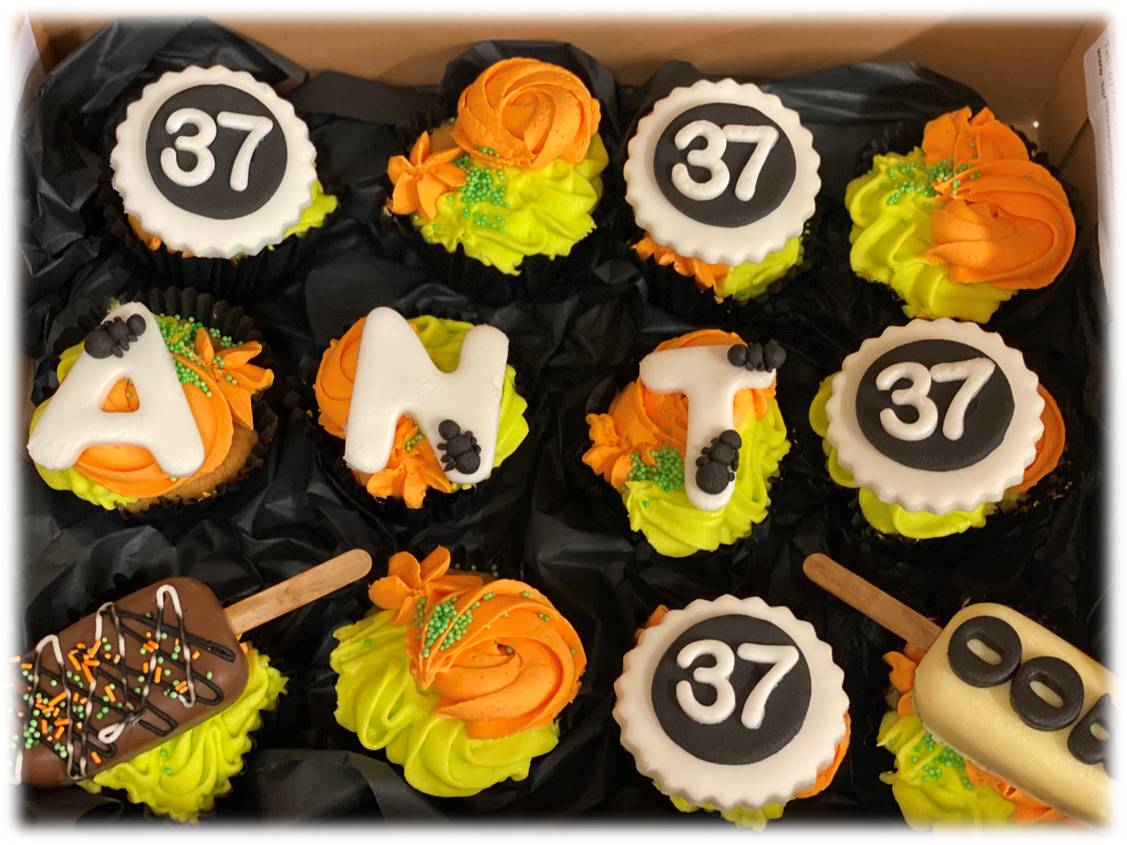 Halloween Birthday Cupcakes.jpg